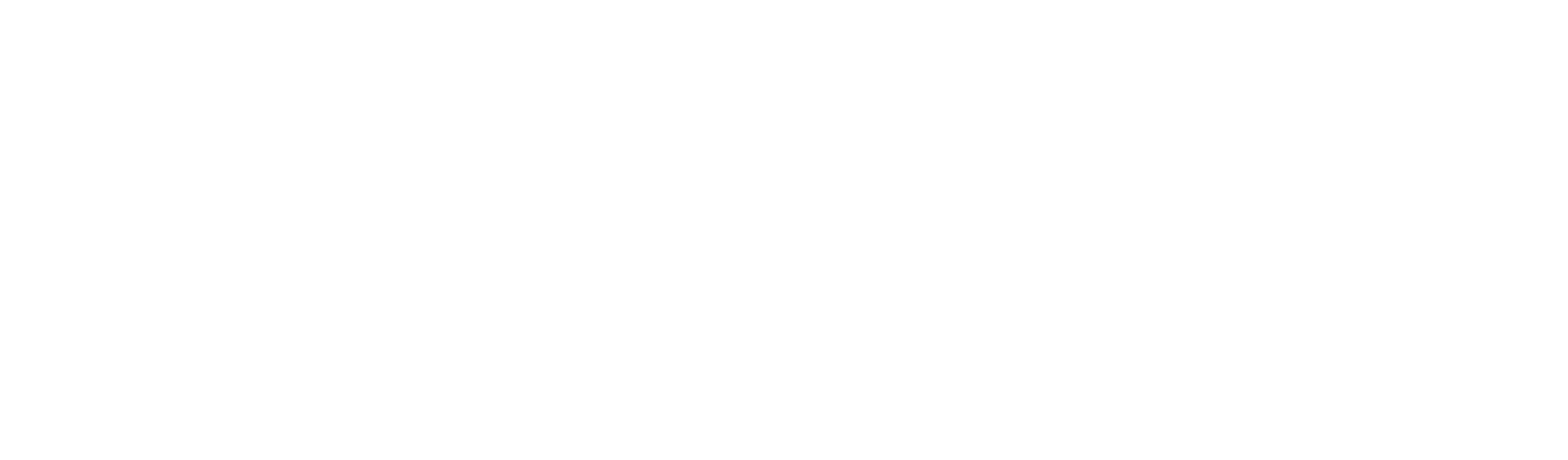 Prodonto Logo White